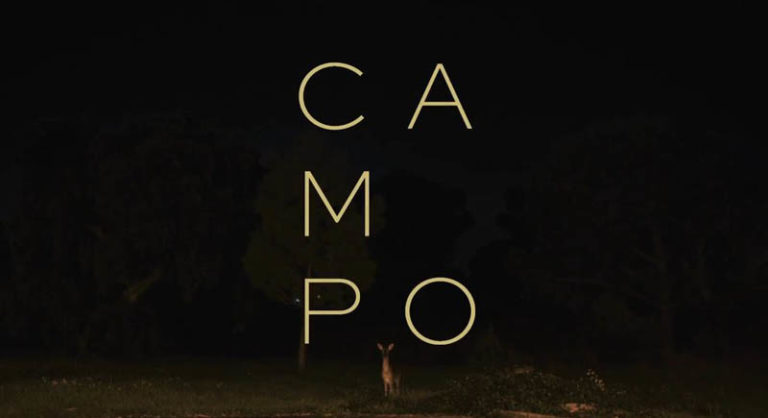 Campo - Thiago Hespanha